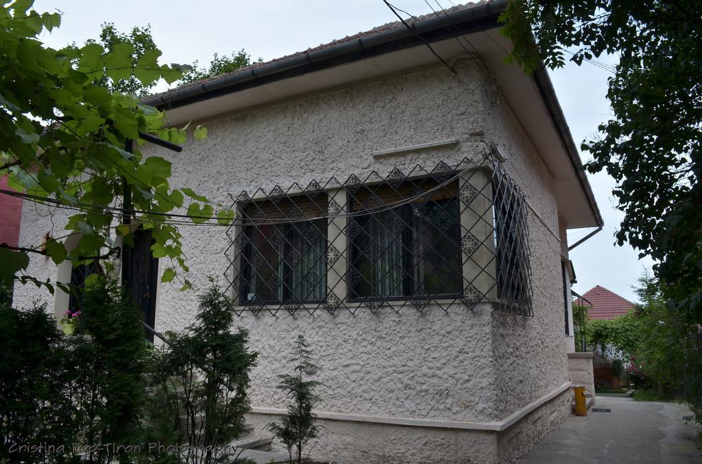 Piccola Italia Casa Racovita Cluj-Napoca Exterior photo